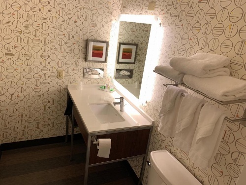 Holiday Inn Baton Rouge-South image 8