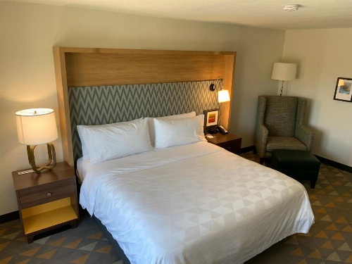 Holiday Inn Baton Rouge-South image 9
